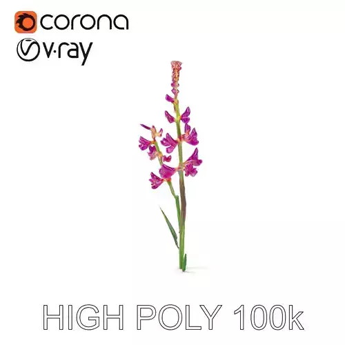 Purple Wildflower Model Pack for Nature Scenes