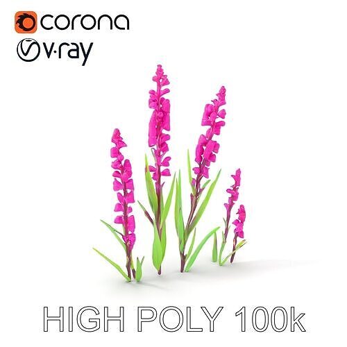 Vibrant Purple Orchid Flower Model Pack Low-poly 3D model