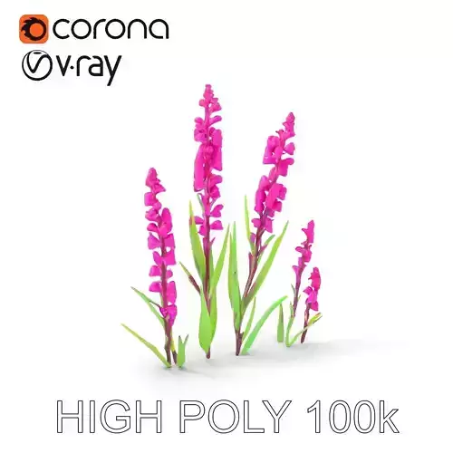 Vibrant Purple Orchid Flower Model Pack Low-poly 3D model