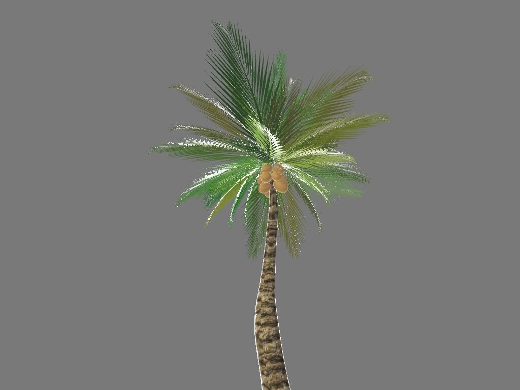 Tropical palmar Low-poly 3D model_3