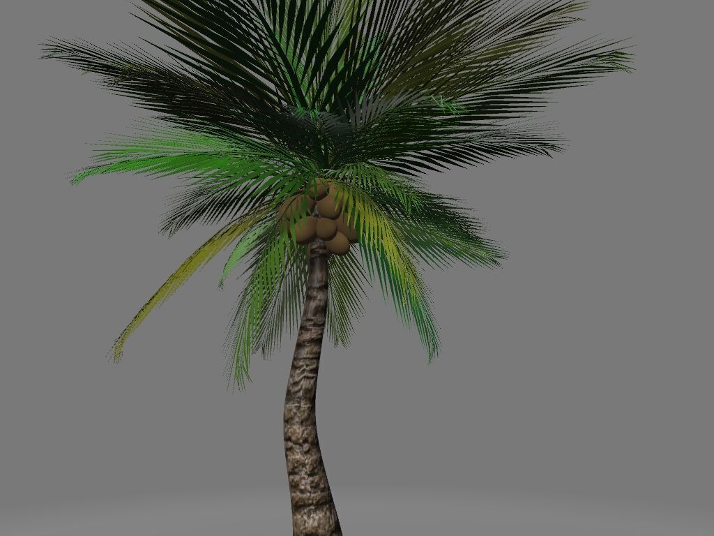 Tropical palmar Low-poly 3D model_1