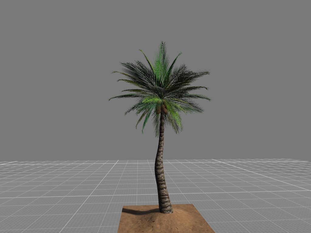Tropical palmar Low-poly 3D model_7