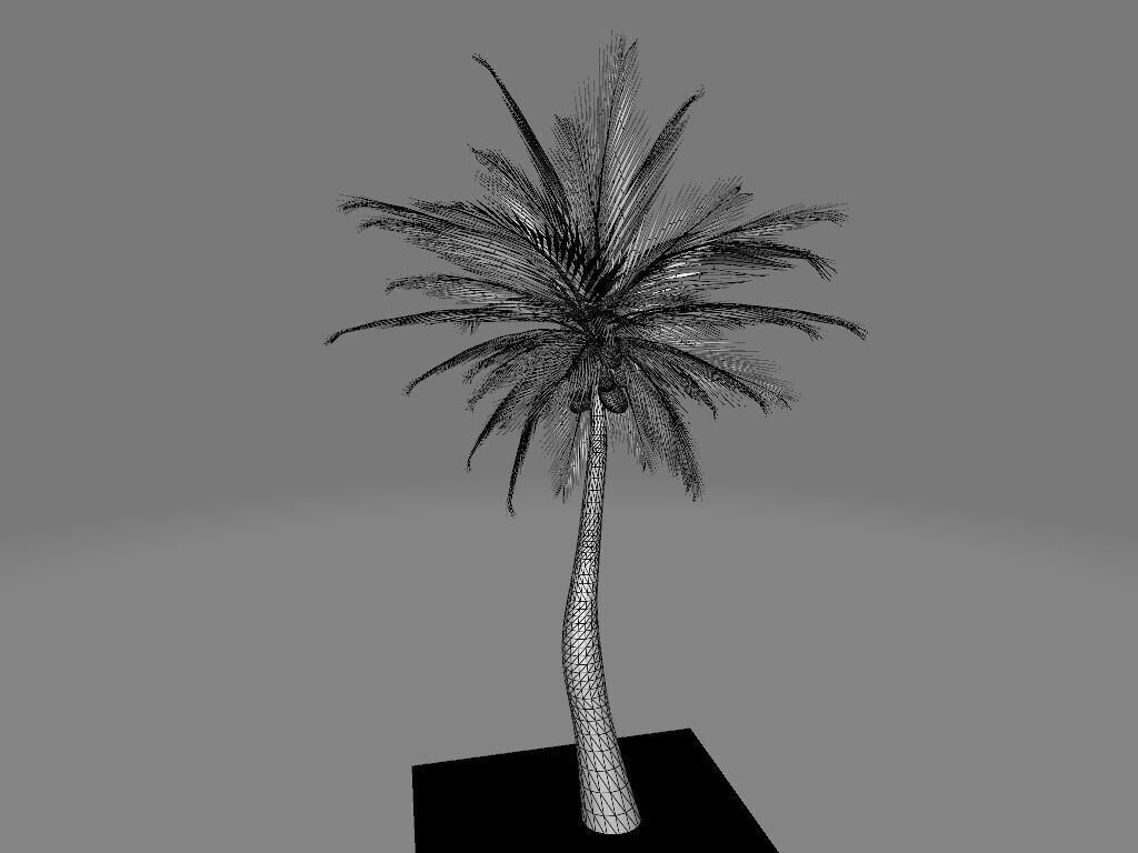 Tropical palmar Low-poly 3D model_6