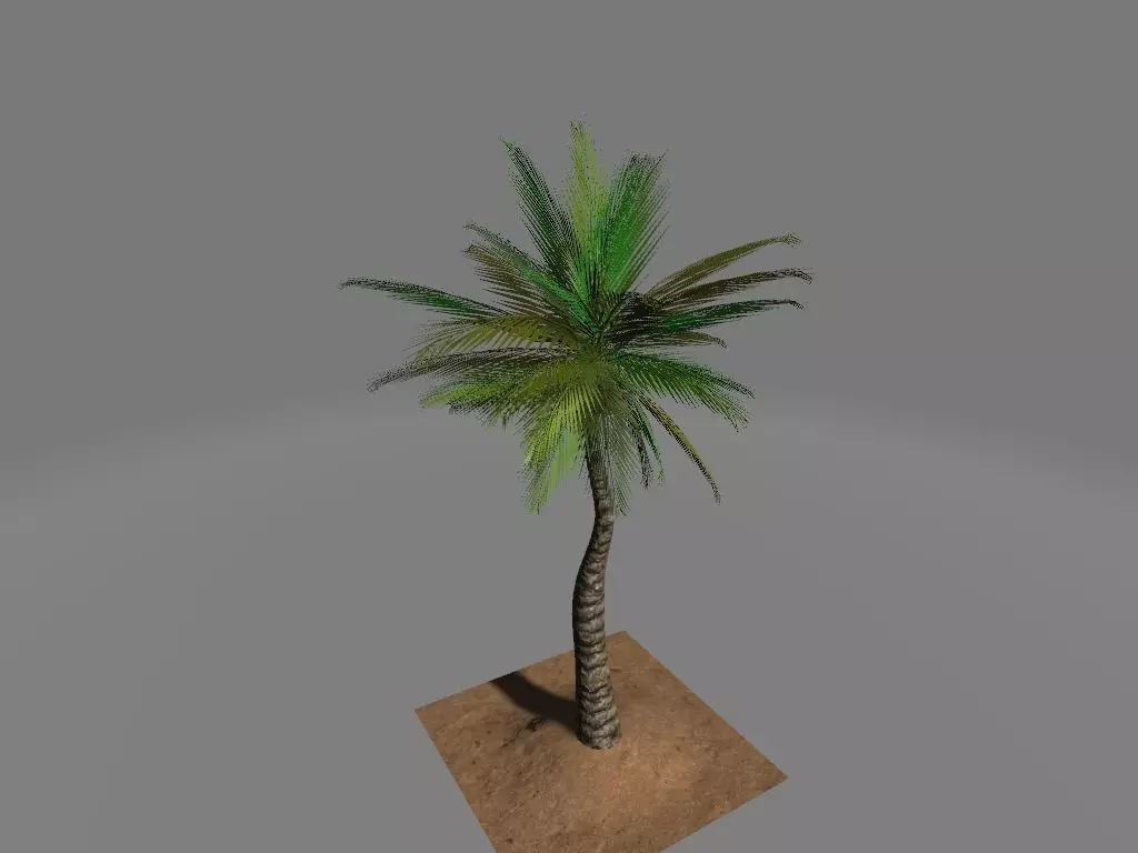 Tropical palmar Low-poly 3D model_0