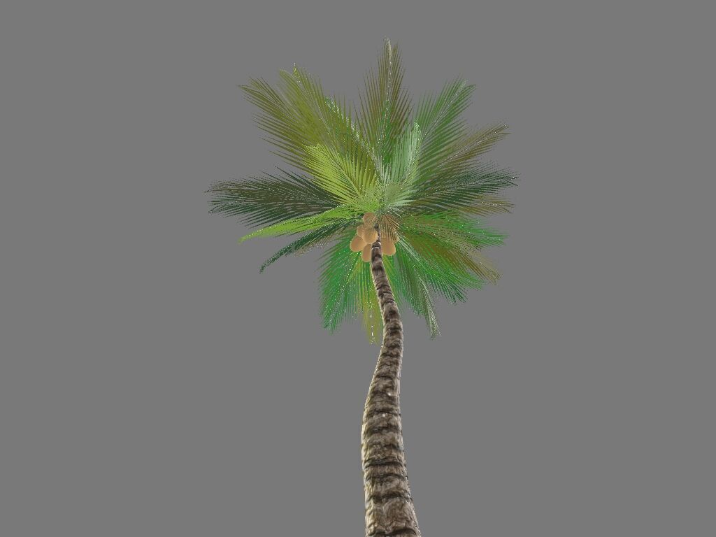 Tropical palmar Low-poly 3D model_2
