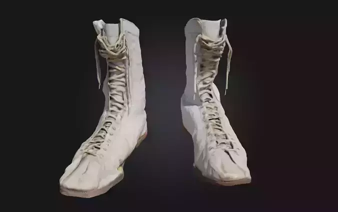 Boxing Boots  Lightweight Agility for the Ring