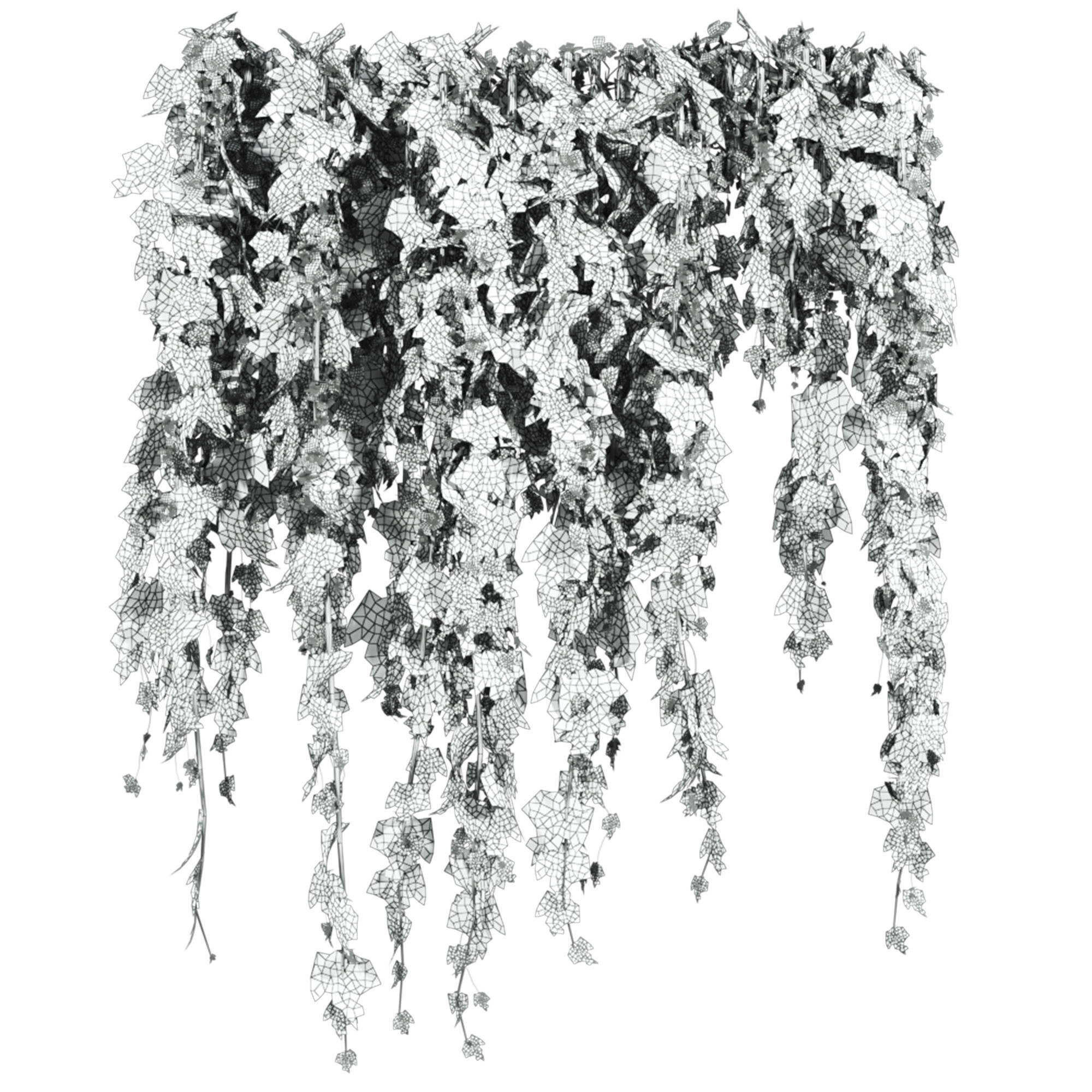 ivy plants 3D model_2