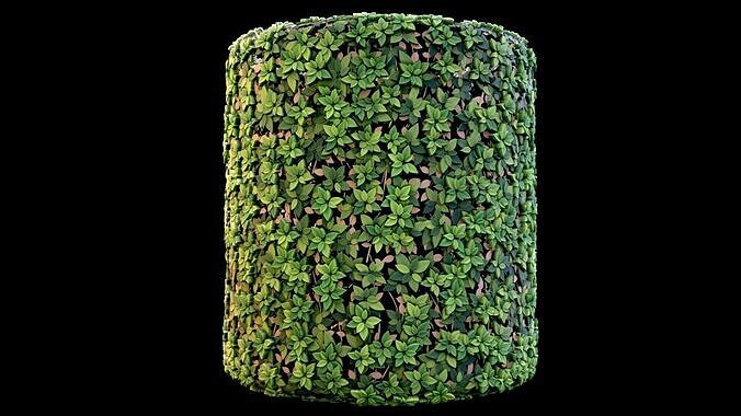 Stylized Bush customizable Substance PBR material and textures  Texture