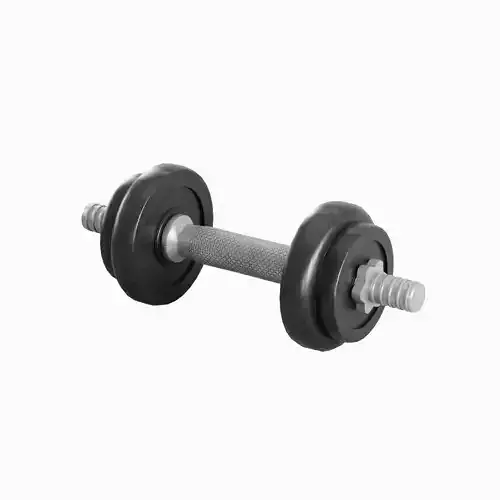 Metal Dumbbell 01 Low-poly 3D model