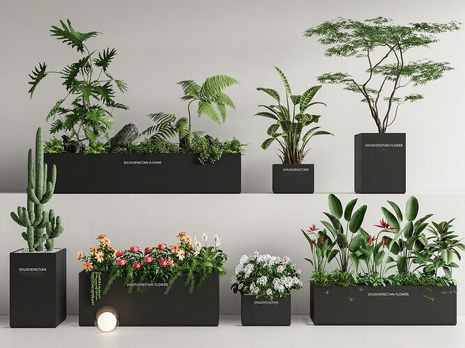 SHUISHENGTIAN Indoor Plant Set 3D Model - Decor Greenery 3D model