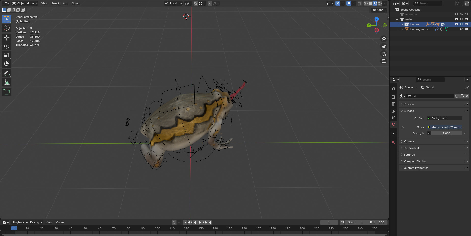 Realistic Bullfrog 3D Model Advanced Rig Low-poly 3D model_2