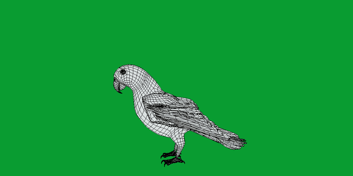 African Congo Grey Parrot Low-poly 3D model_36