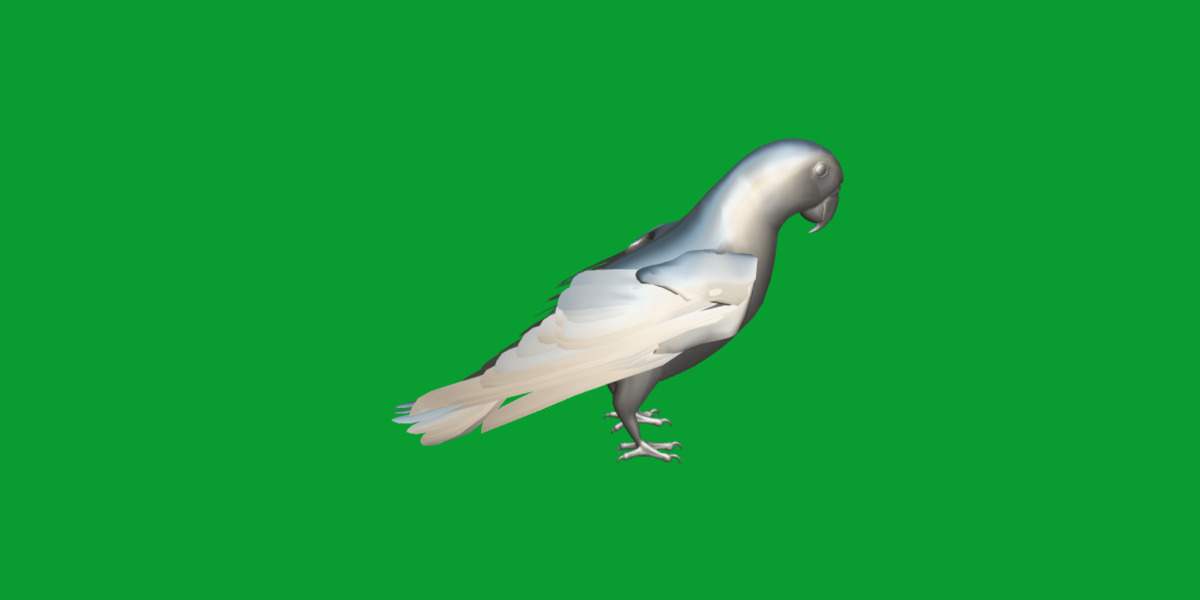 African Congo Grey Parrot Low-poly 3D model_40