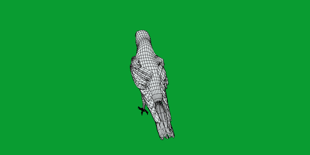 African Congo Grey Parrot Low-poly 3D model_37