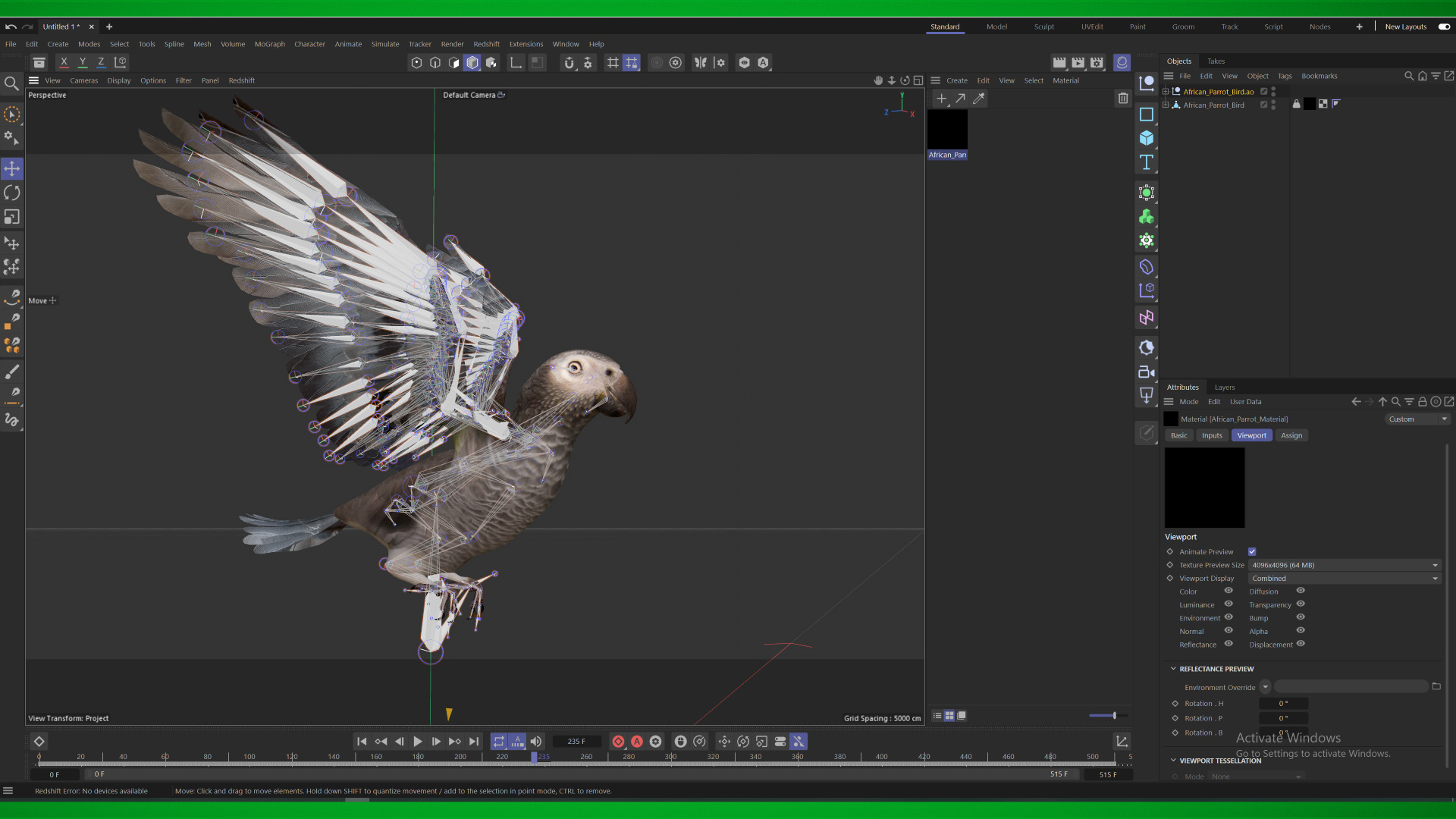 African Congo Grey Parrot Low-poly 3D model_4