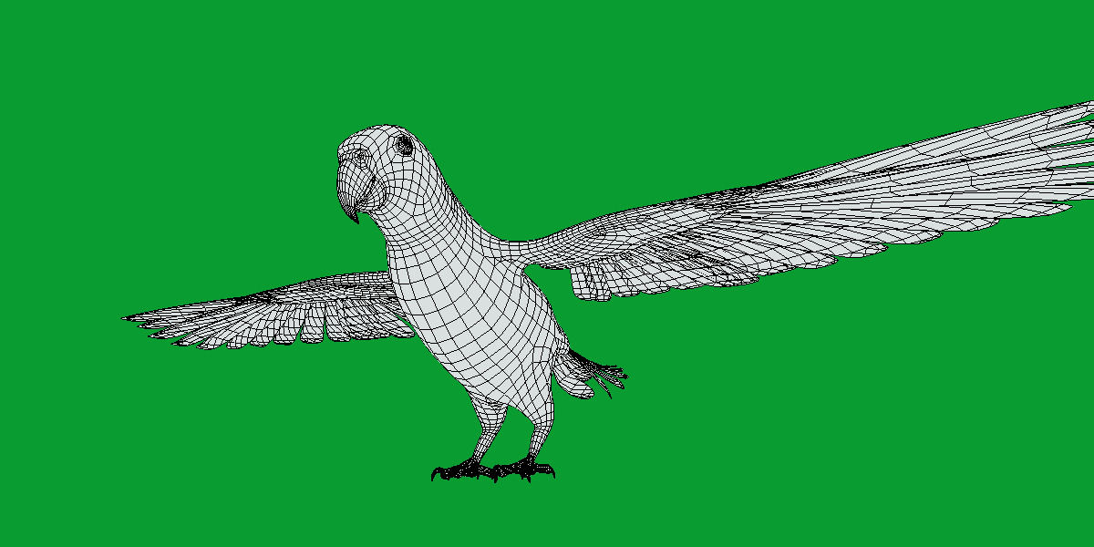 African Congo Grey Parrot Low-poly 3D model_24