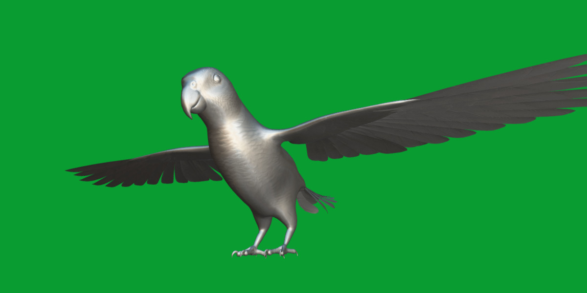 African Congo Grey Parrot Low-poly 3D model_23