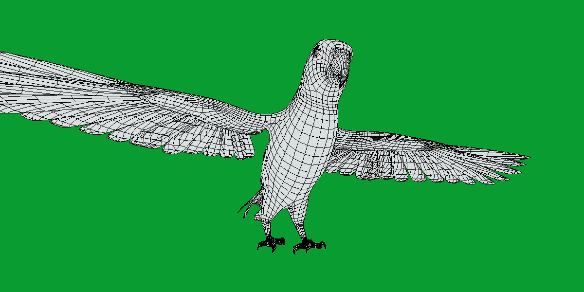 African Congo Grey Parrot Low-poly 3D model_25