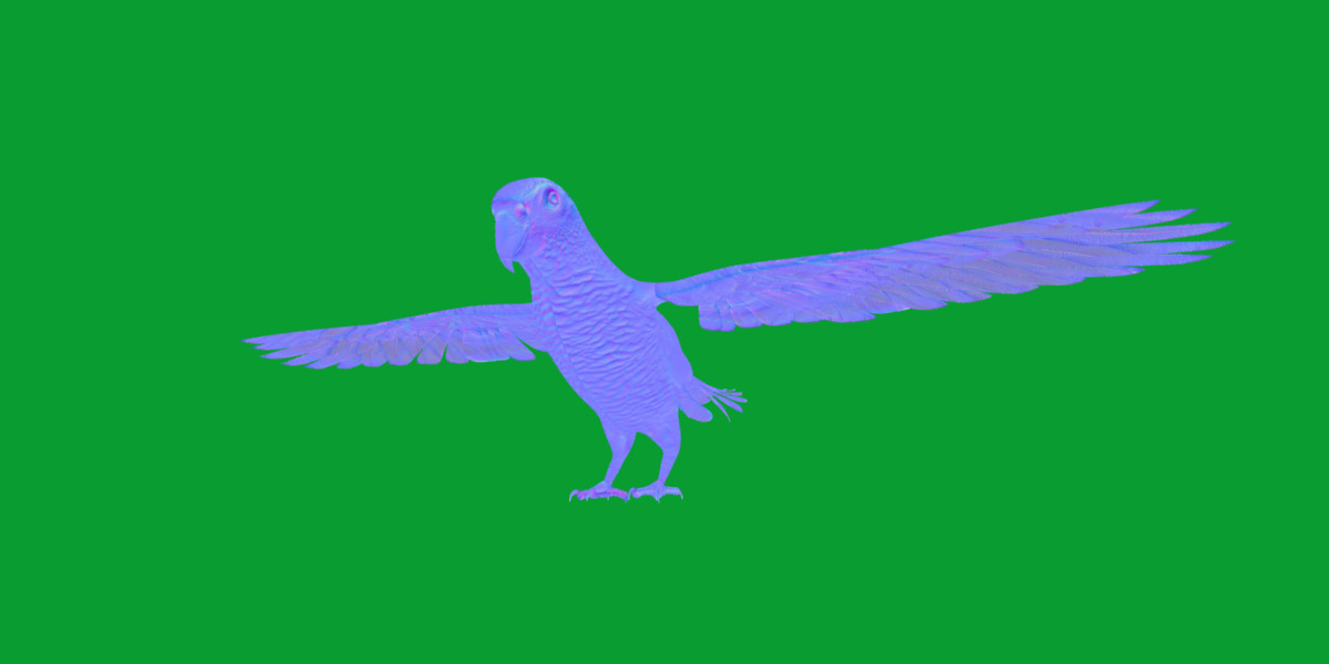 African Congo Grey Parrot Low-poly 3D model_15