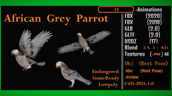 African Congo Grey Parrot Low-poly 3D model