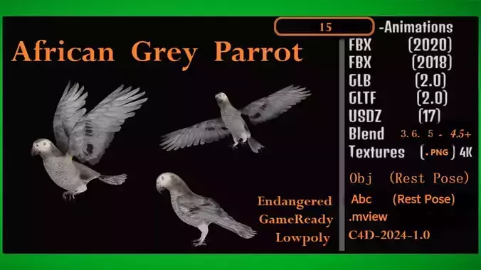 African Congo Grey Parrot