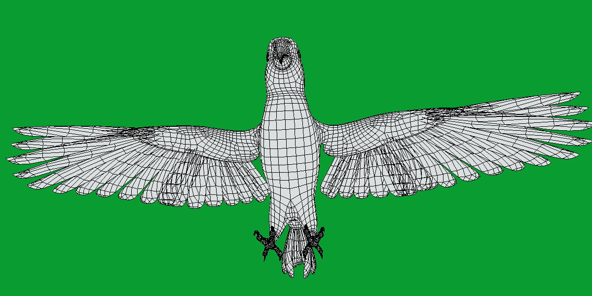 African Congo Grey Parrot Low-poly 3D model_27