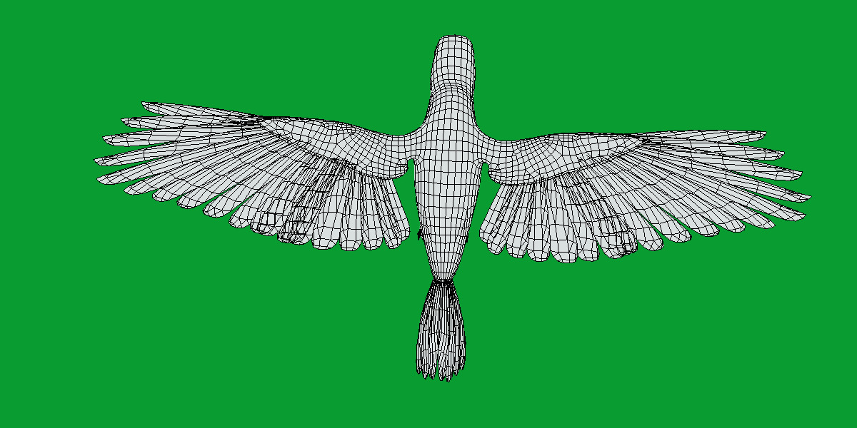 African Congo Grey Parrot Low-poly 3D model_26