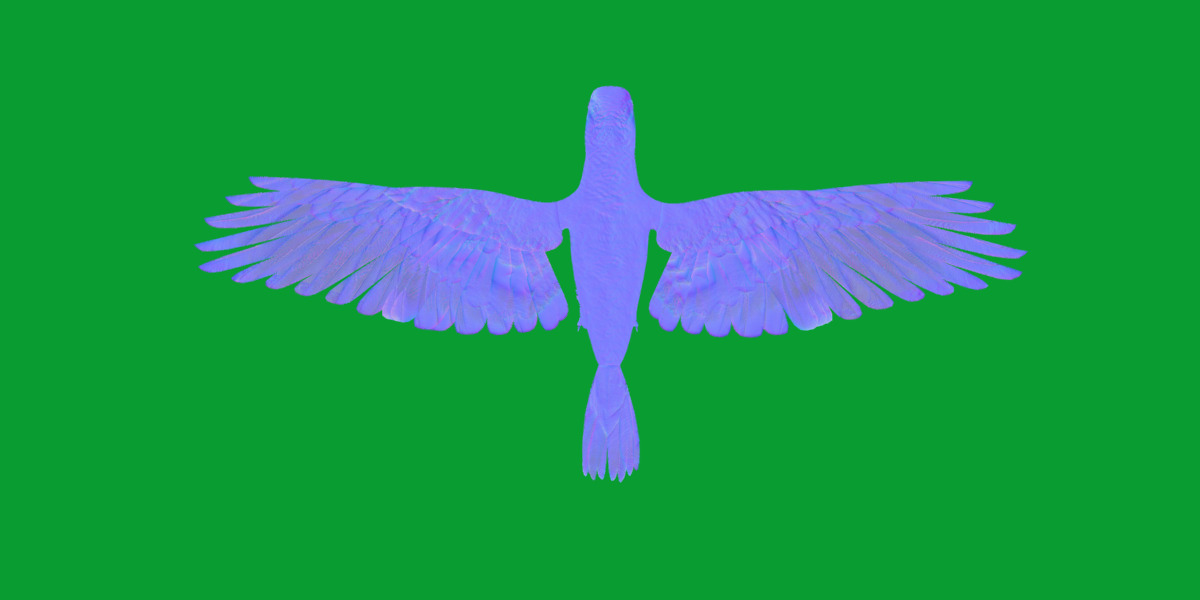 African Congo Grey Parrot Low-poly 3D model_16