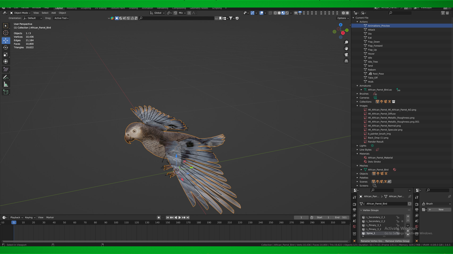 African Congo Grey Parrot Low-poly 3D model_3