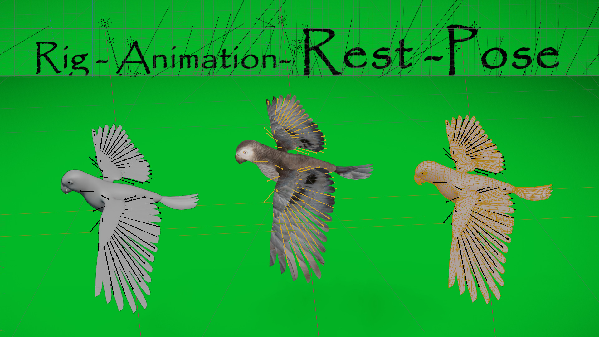 African Congo Grey Parrot Low-poly 3D model_5