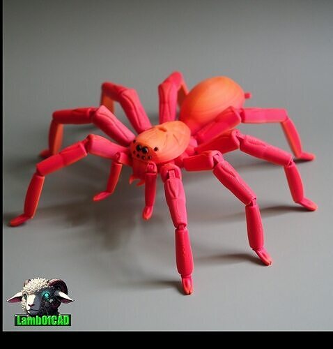 Bird Eater Spider 3D print model