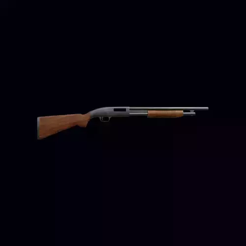Pump-Action Shotgun