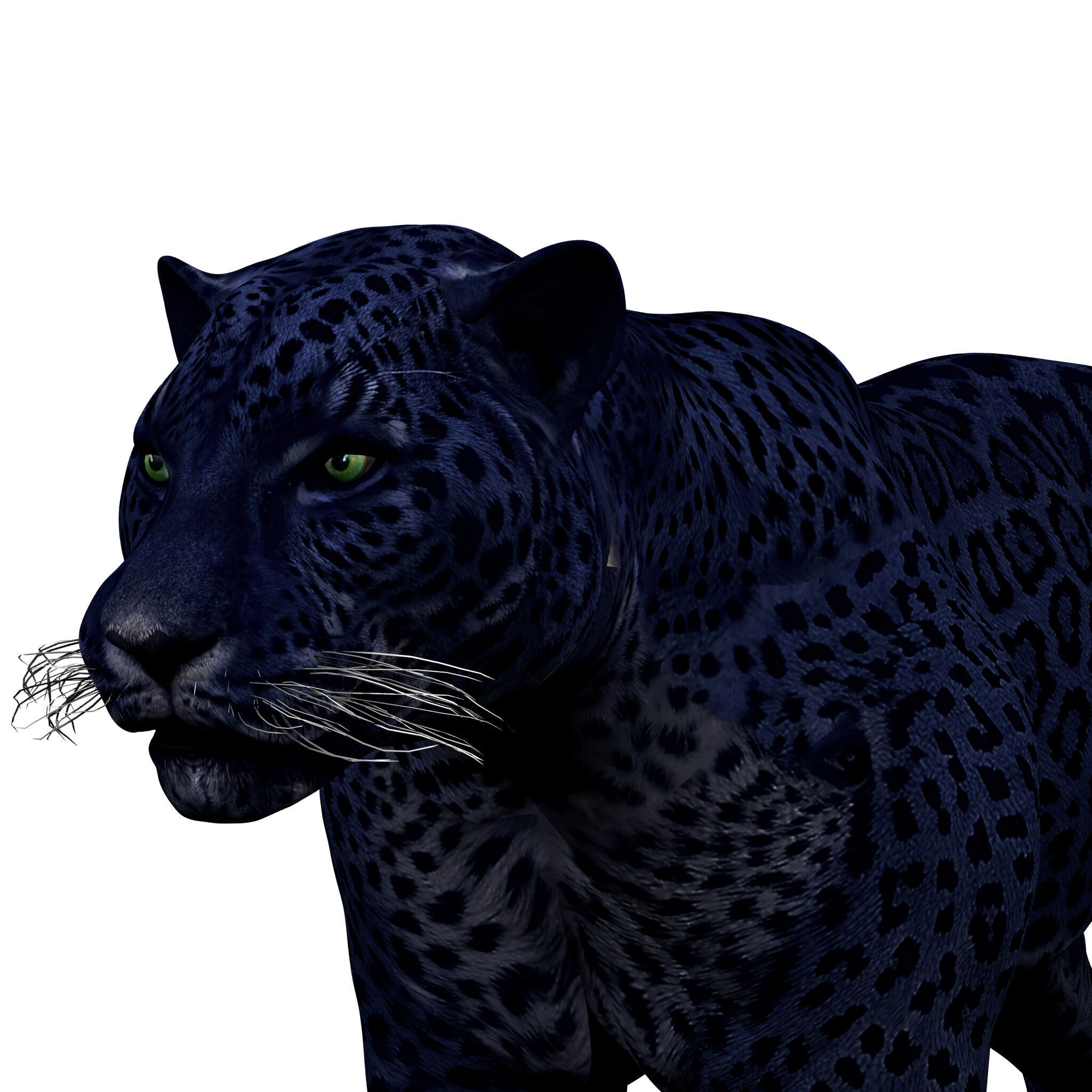 Black Panther Rigged 3D model_3