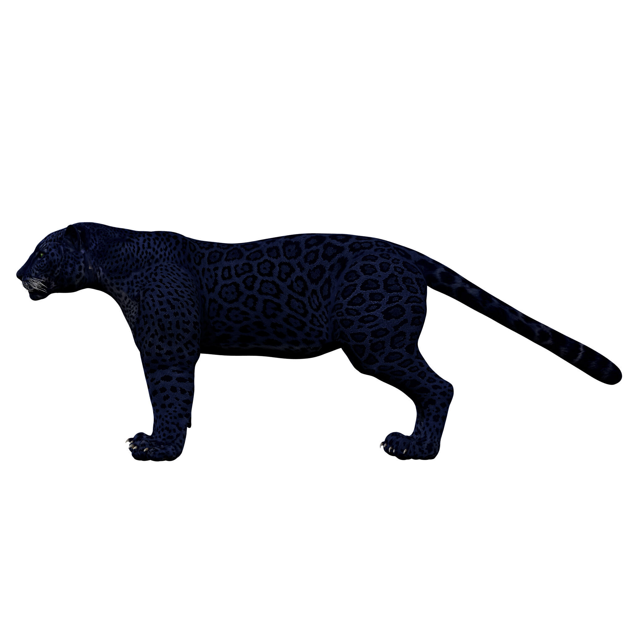 Black Panther Rigged 3D model_4