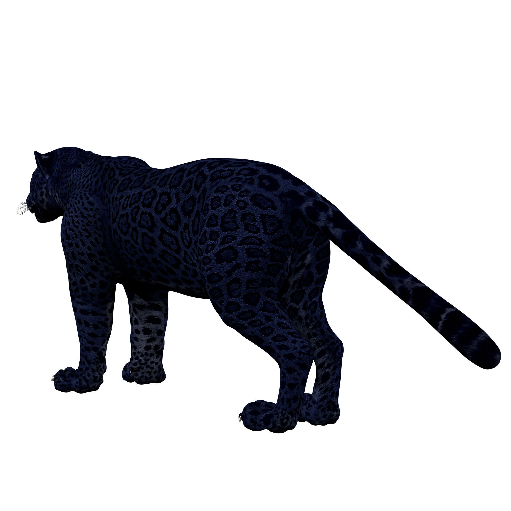 Black Panther Rigged 3D model_6