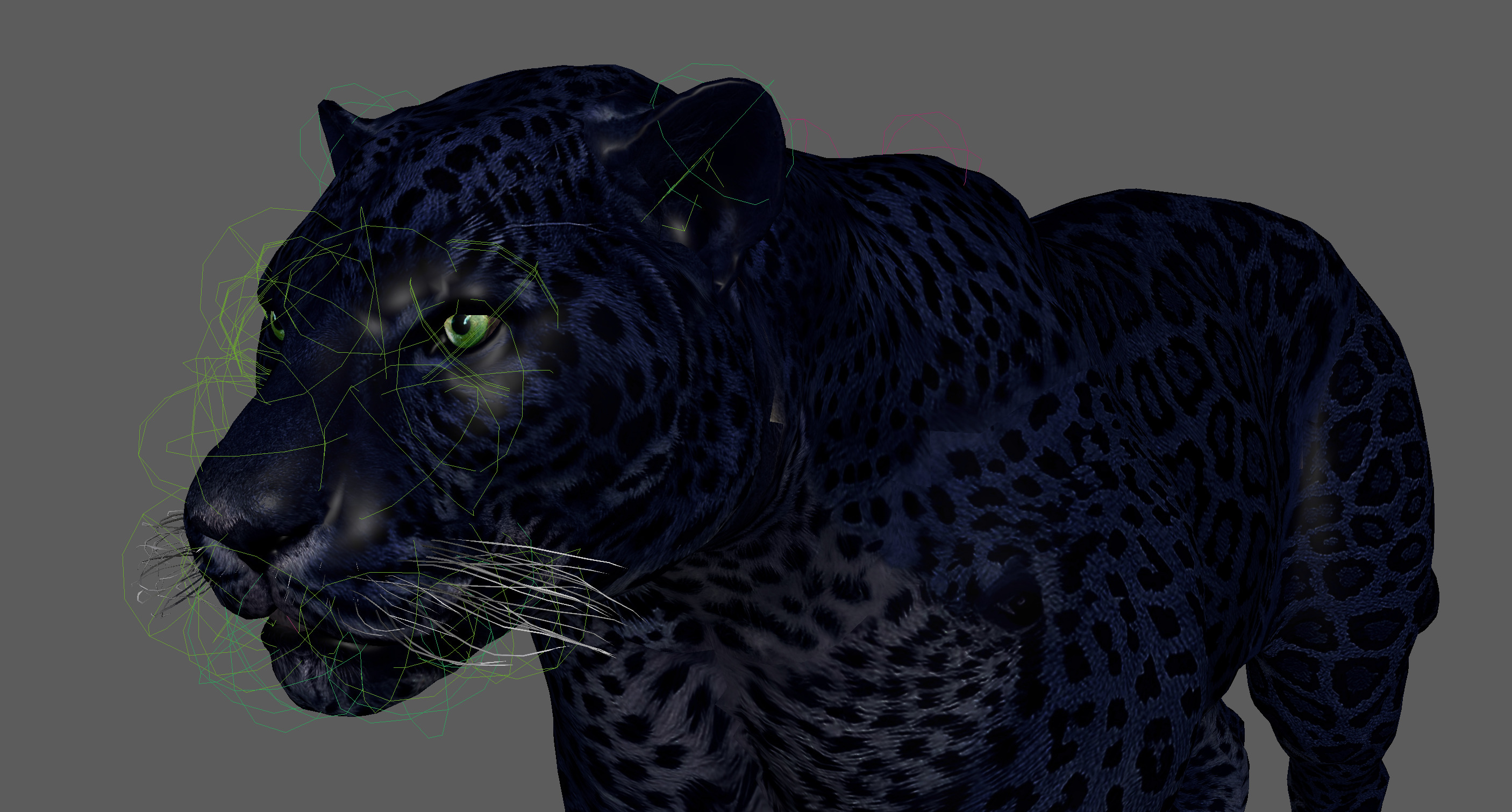 Black Panther Rigged 3D model_10