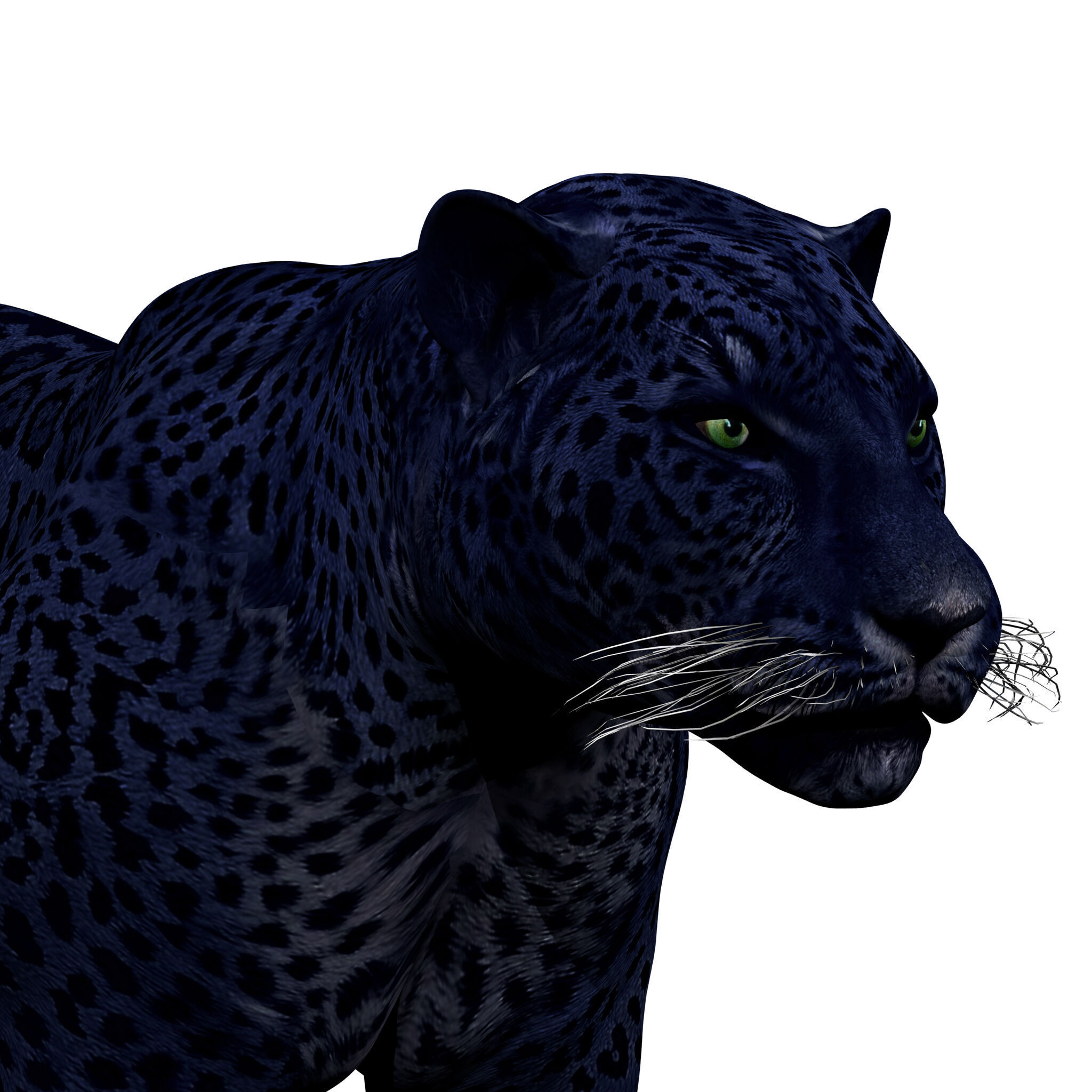 Black Panther Rigged 3D model_1