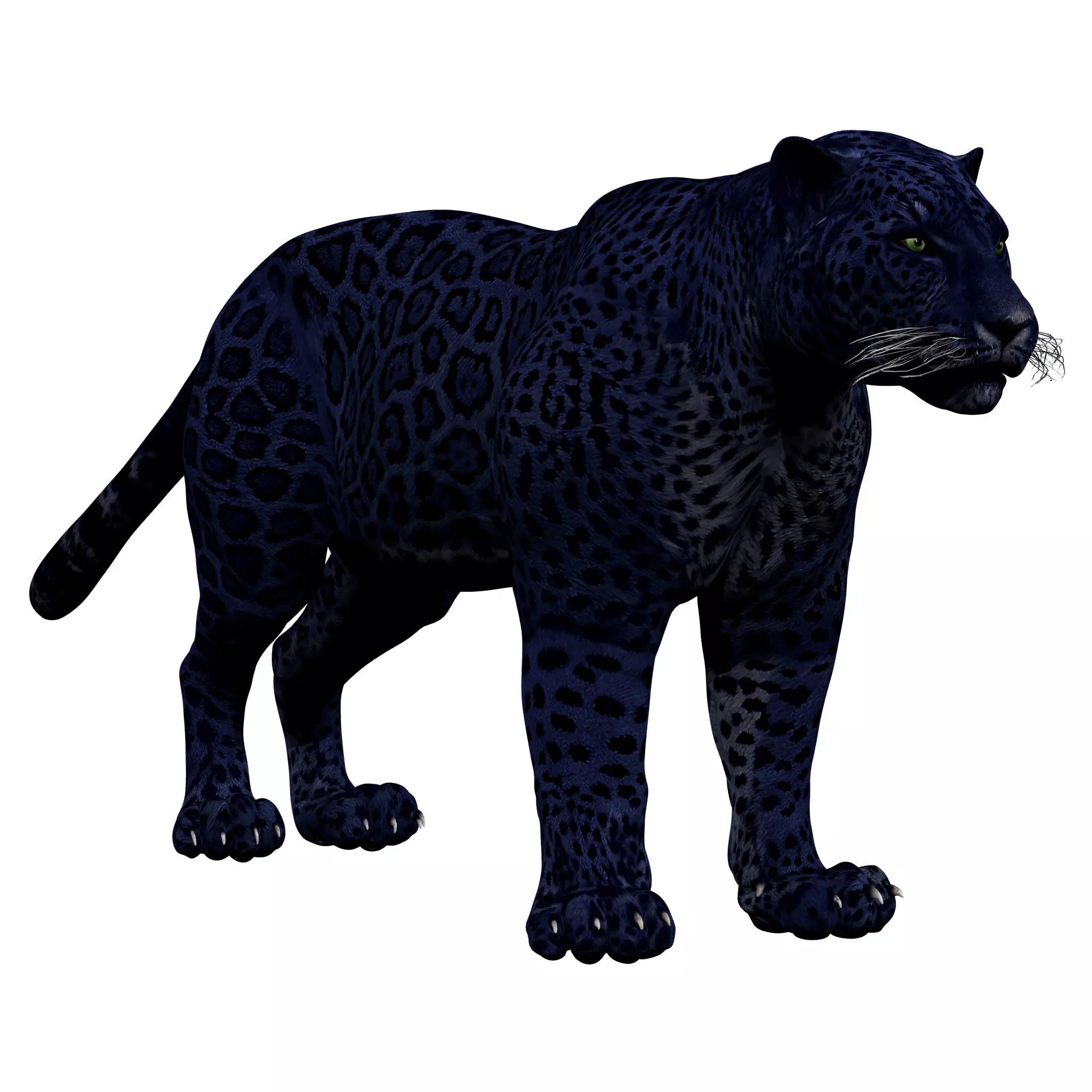 Black Panther Rigged 3D model_0
