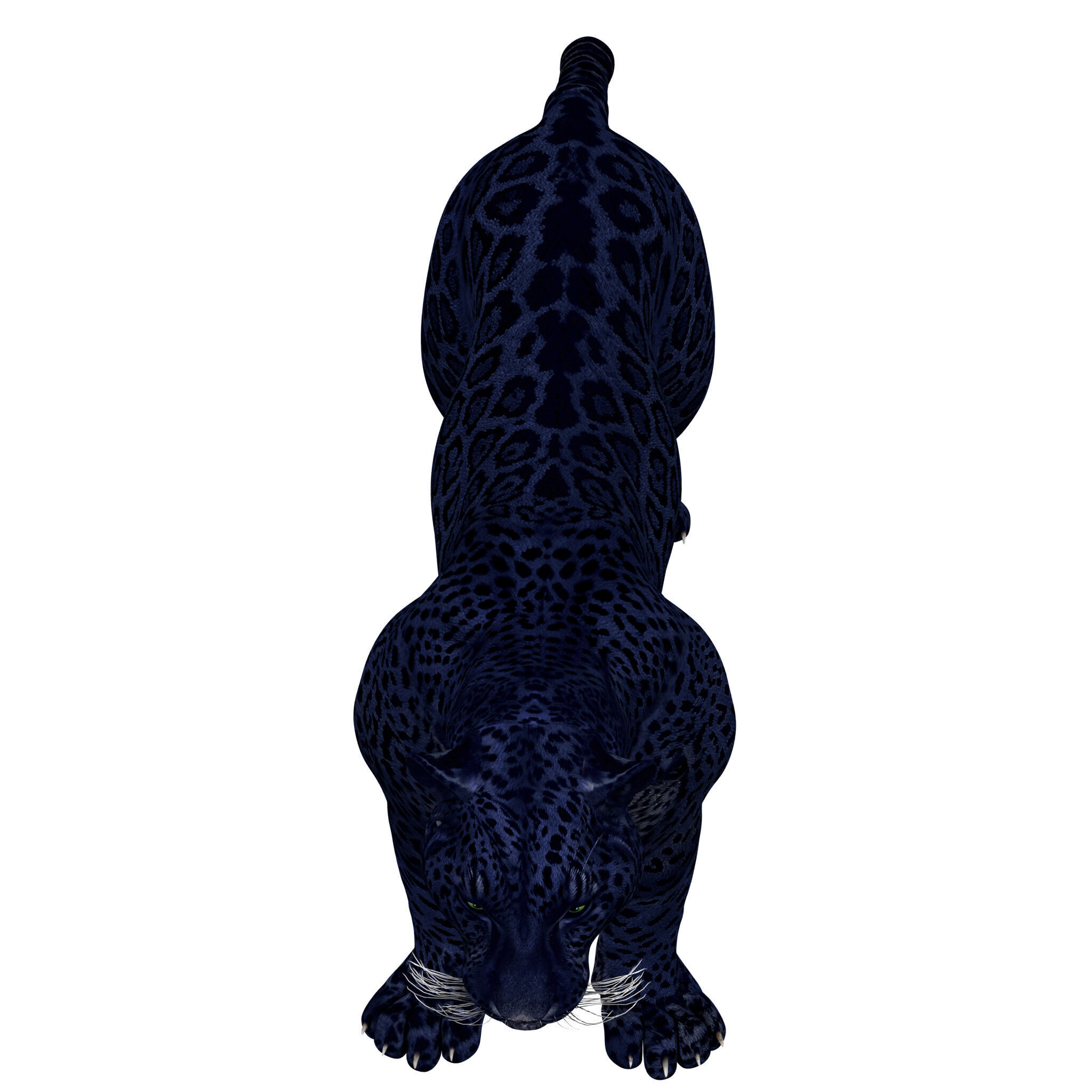 Black Panther Rigged 3D model_7