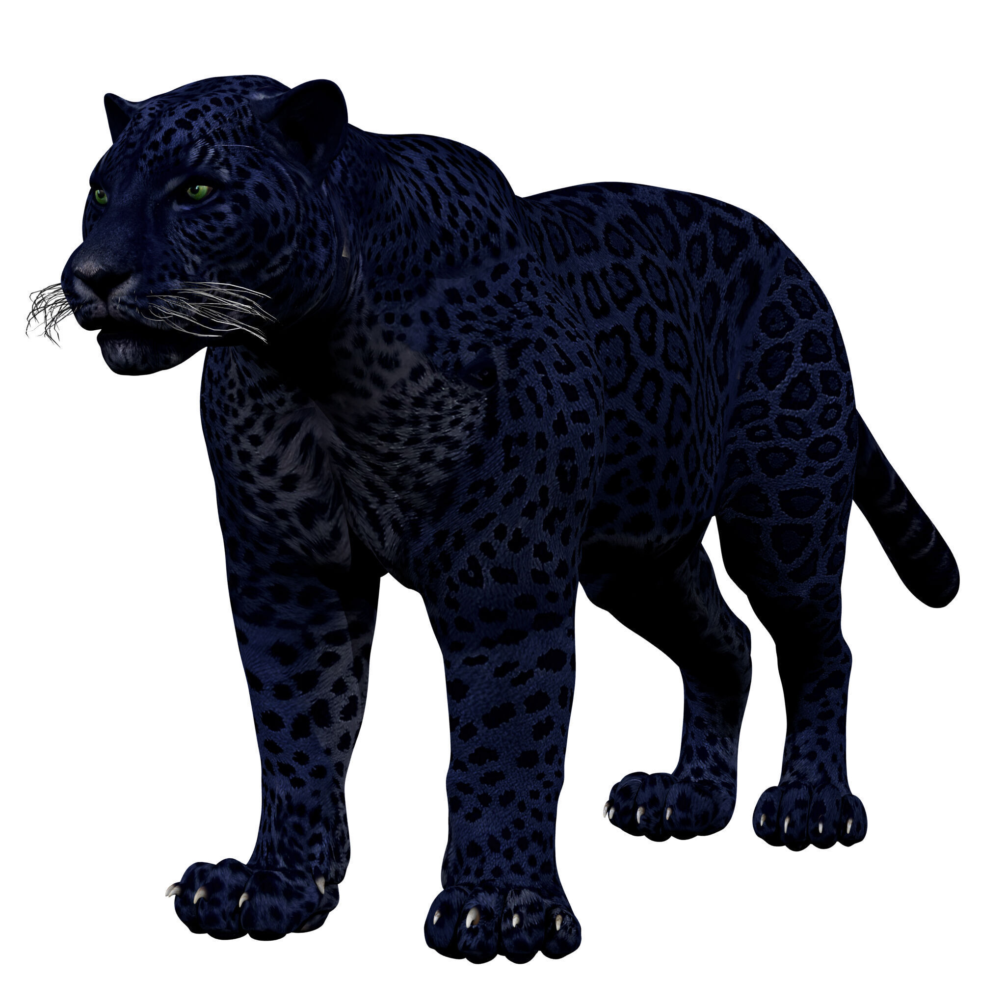 Black Panther Rigged 3D model_2