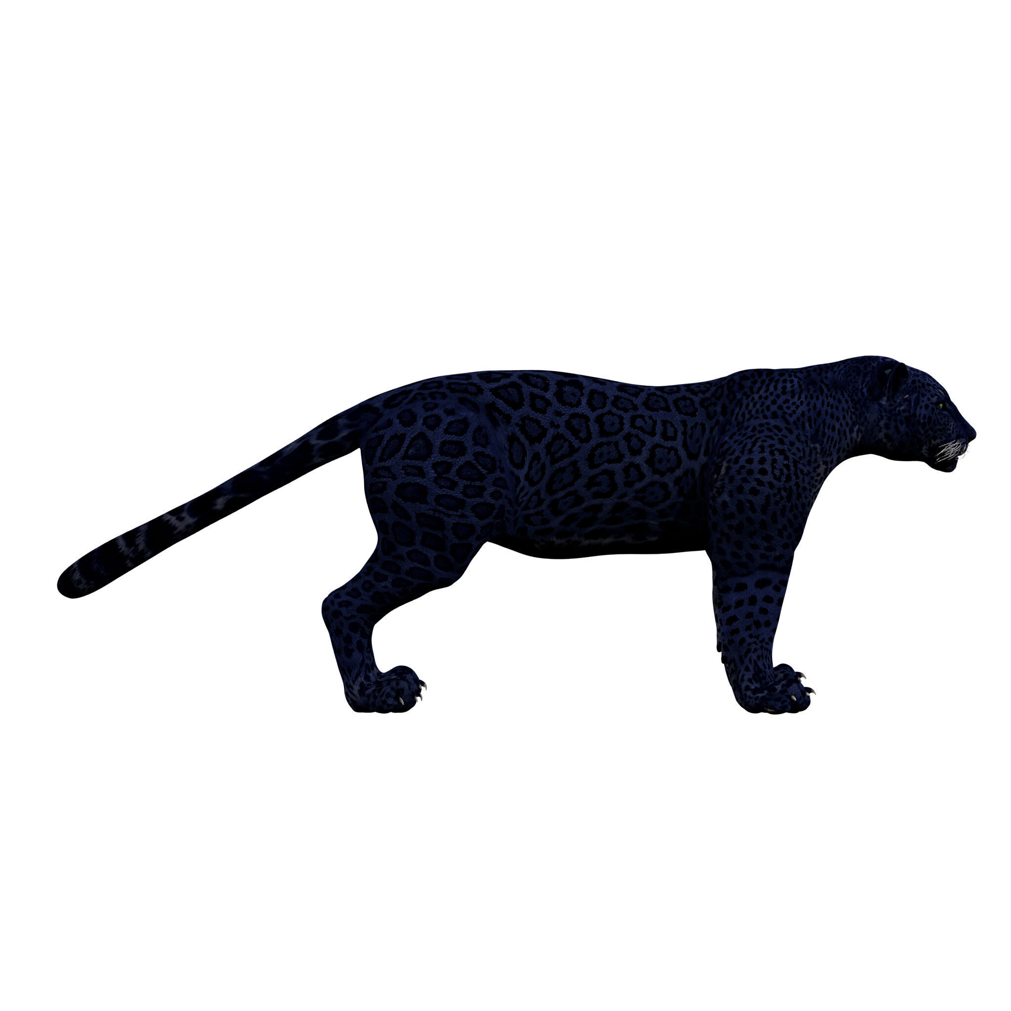 Black Panther Rigged 3D model_5