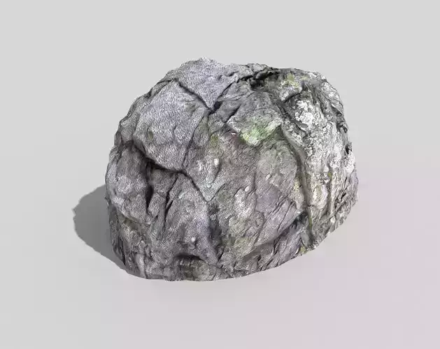 Detailed Rock