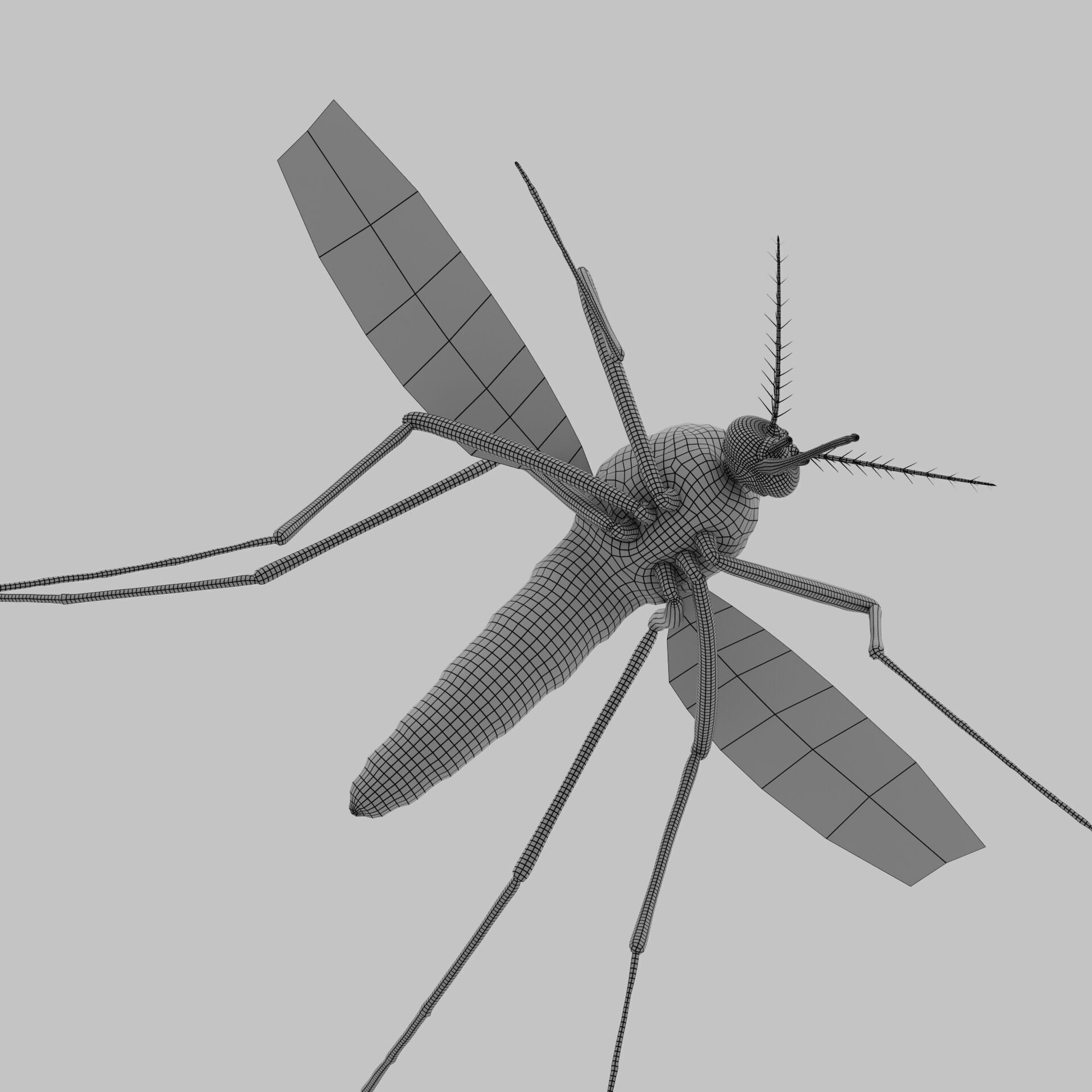 Realistic Mosquito 3D Model  Game Ready Low-poly 3D model_9