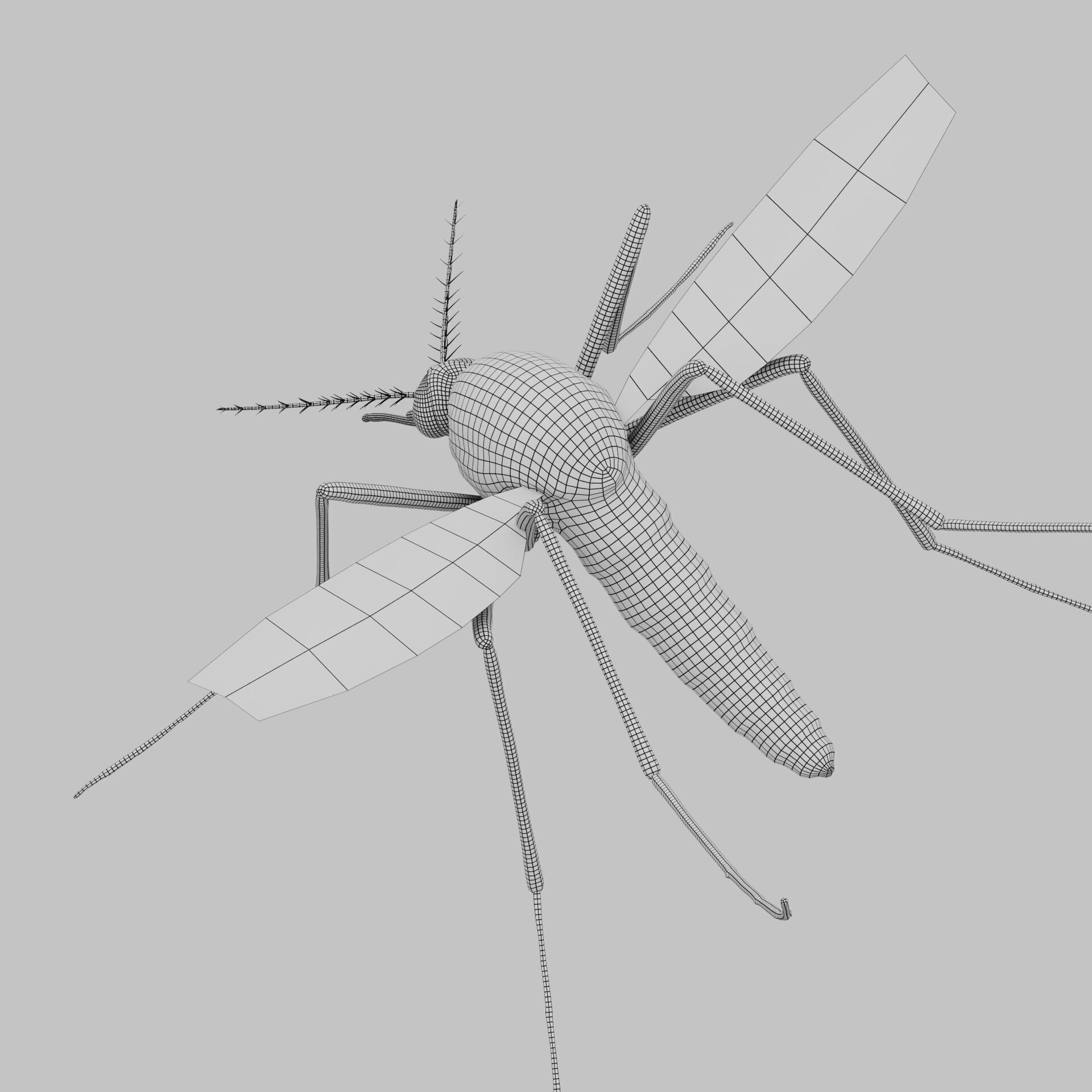 Realistic Mosquito 3D Model  Game Ready Low-poly 3D model_8