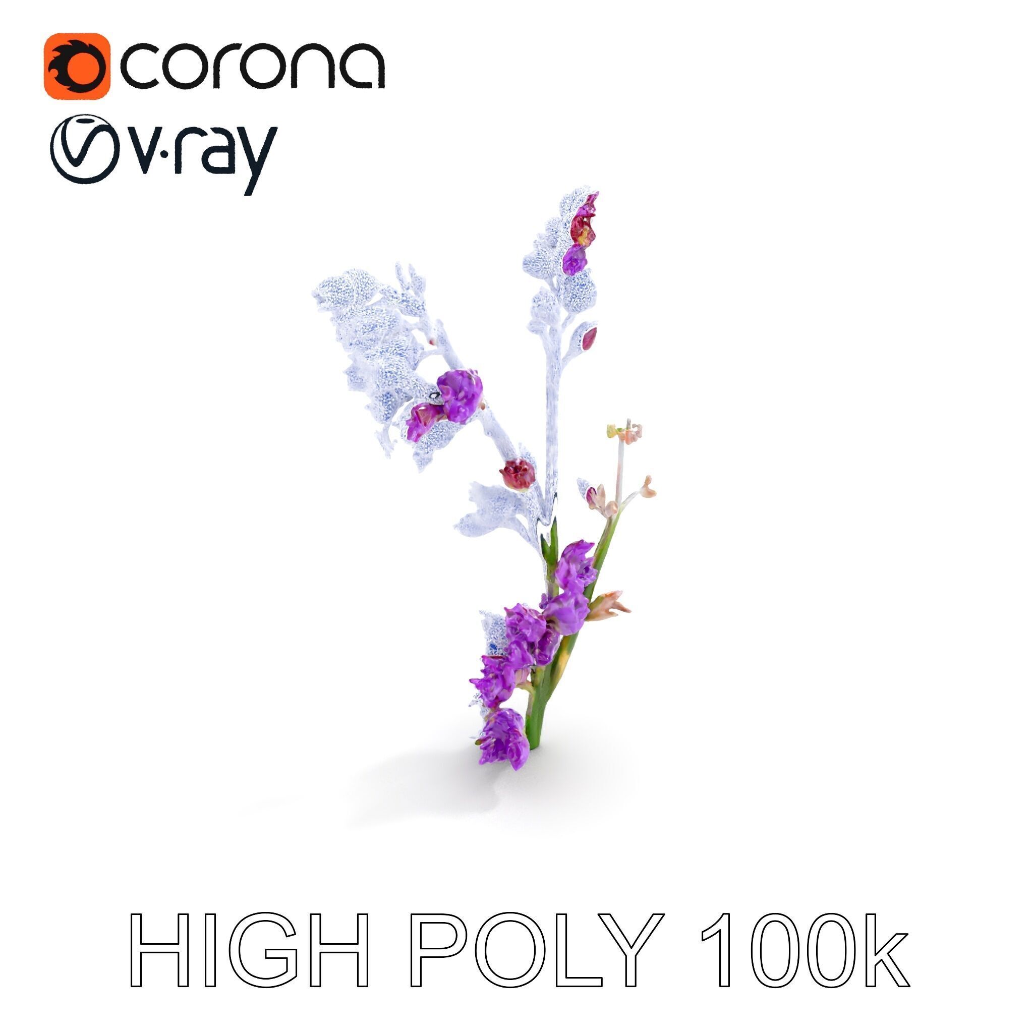 Lavender Plant D Model Pack Low-poly 3D model_10