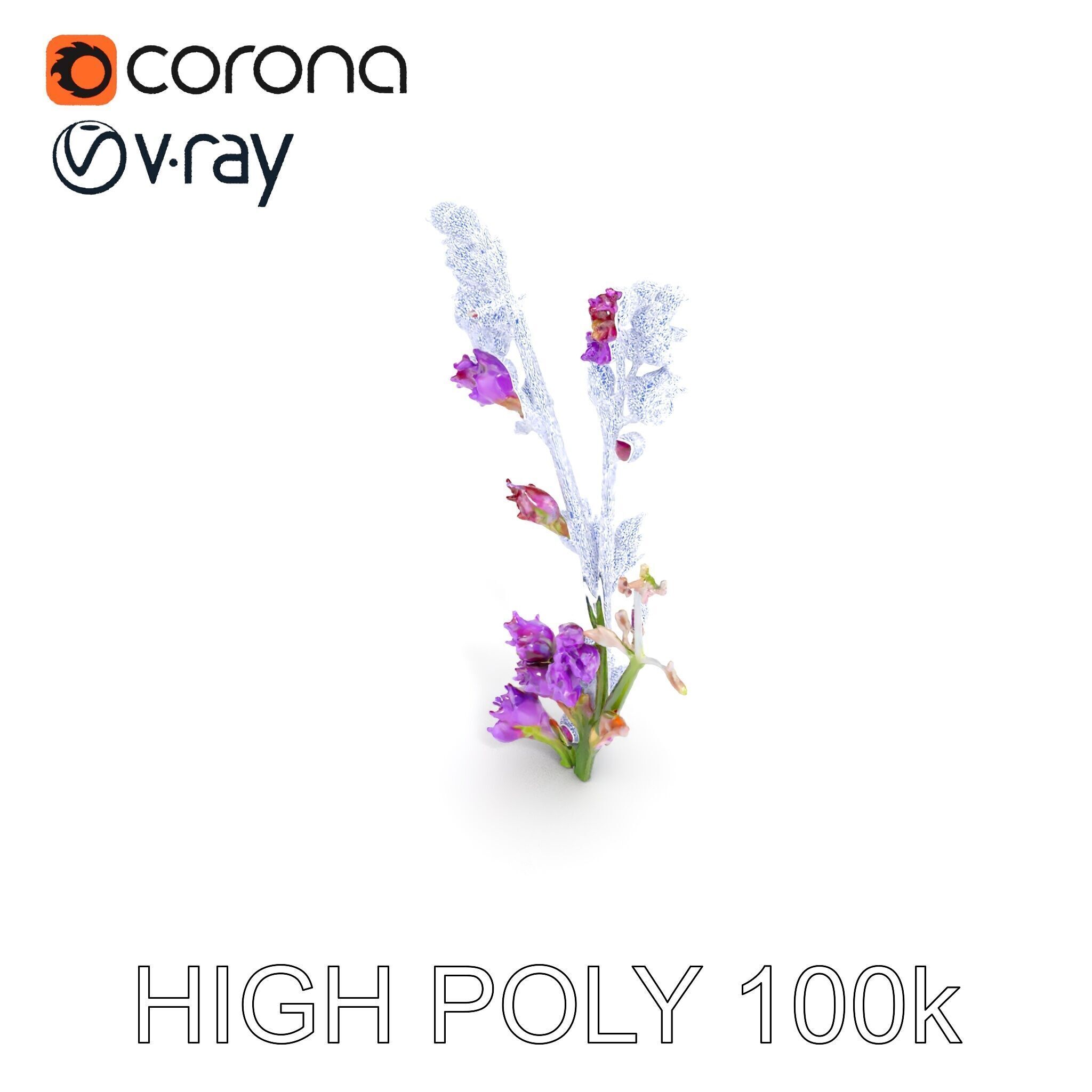 Lavender Plant D Model Pack Low-poly 3D model_25