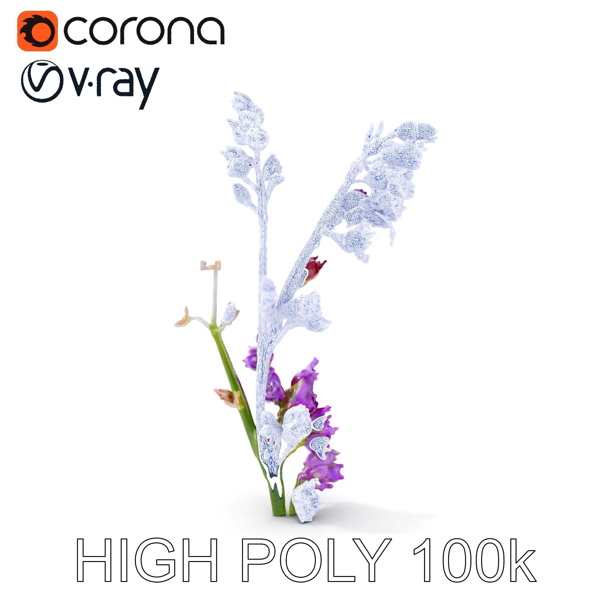 Lavender Plant D Model Pack Low-poly 3D model_29