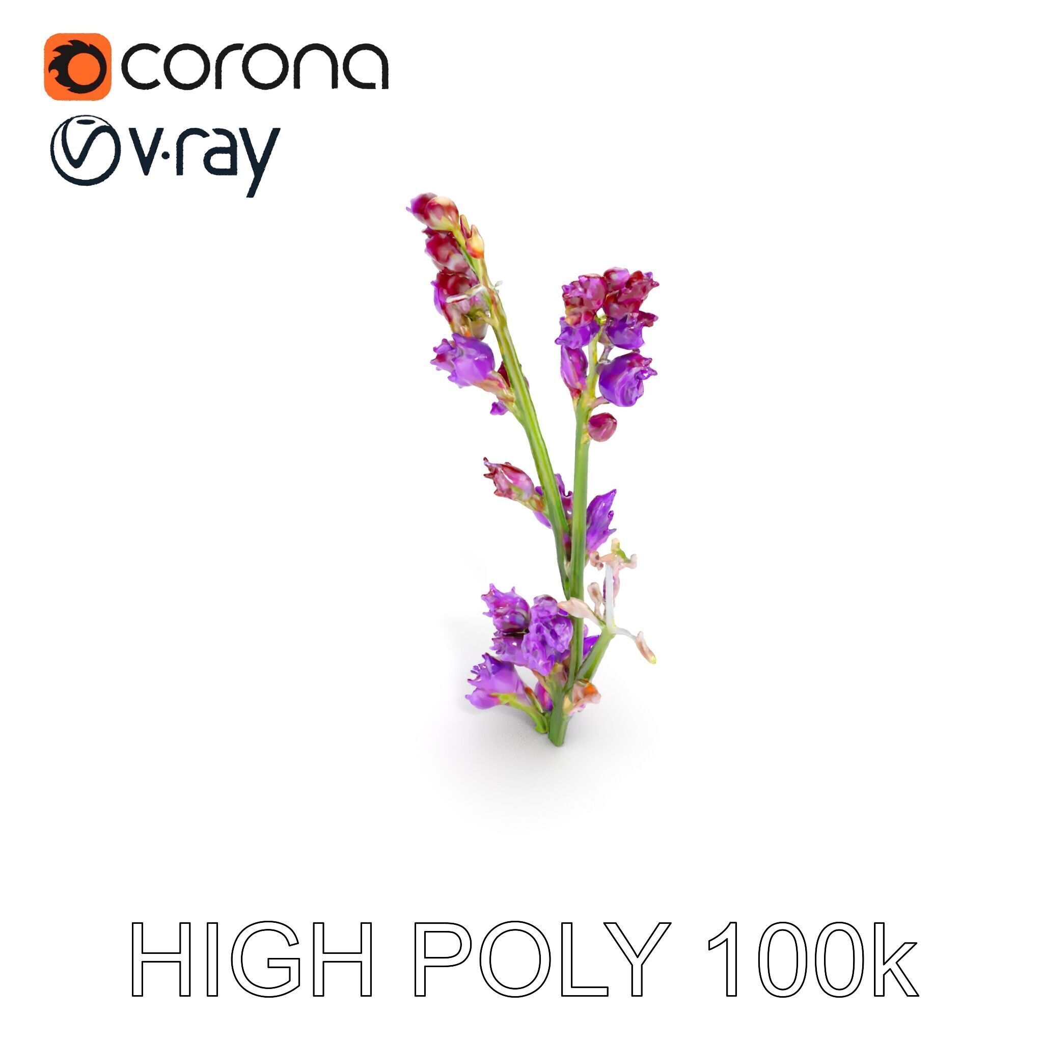 Lavender Plant D Model Pack Low-poly 3D model_16