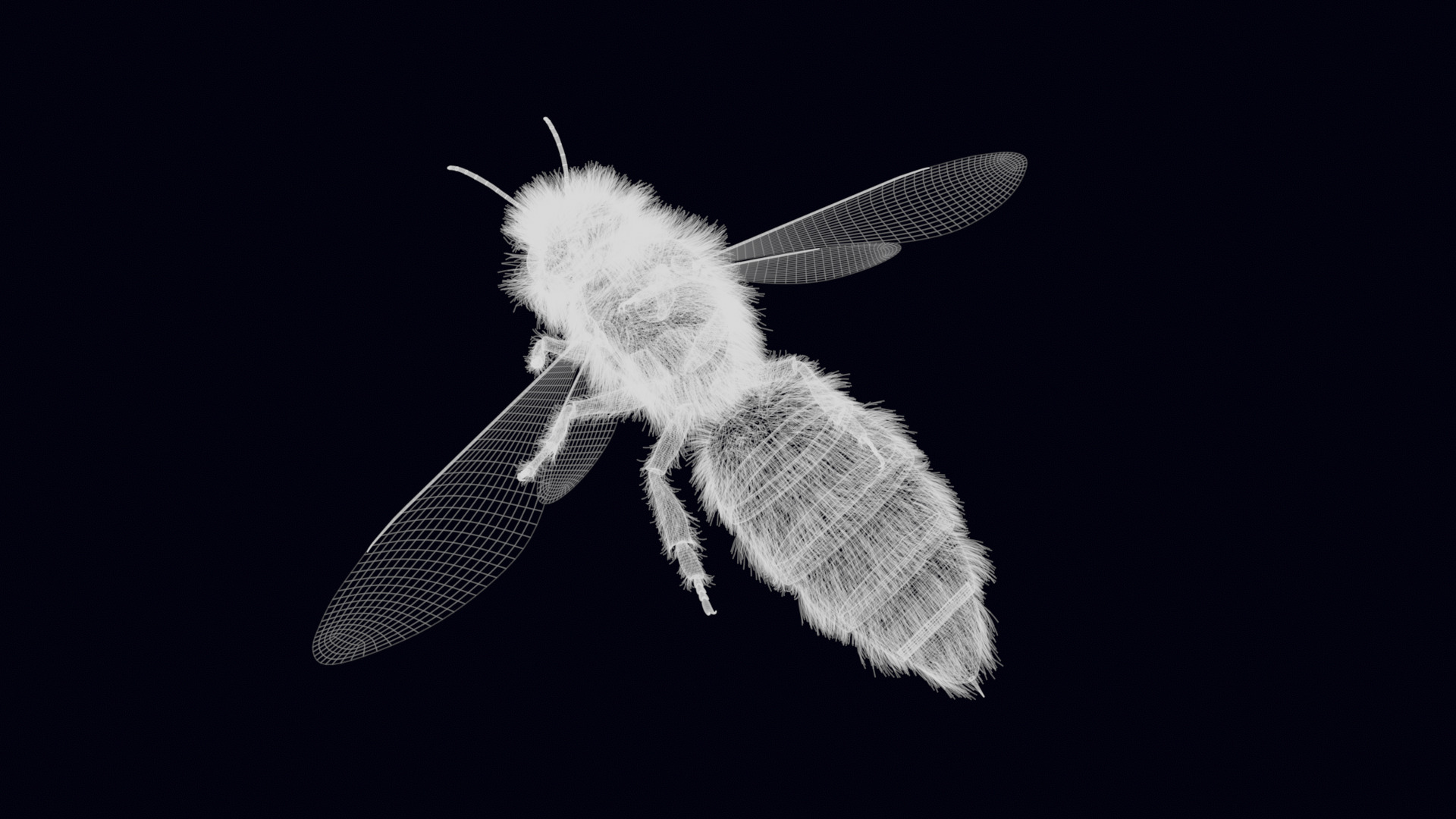 Animated Worker Bee Rig Flight Cycle 4K PBR 3D model_20