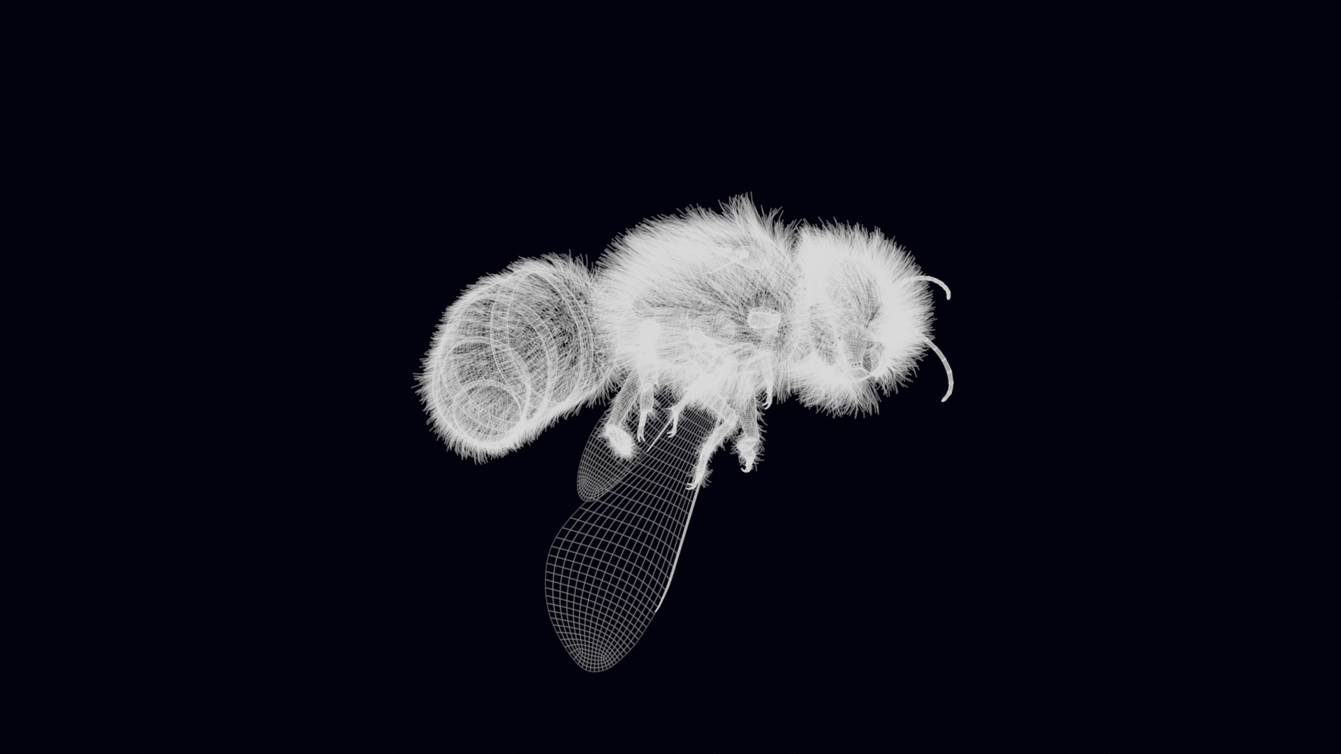 Animated Worker Bee Rig Flight Cycle 4K PBR 3D model_27